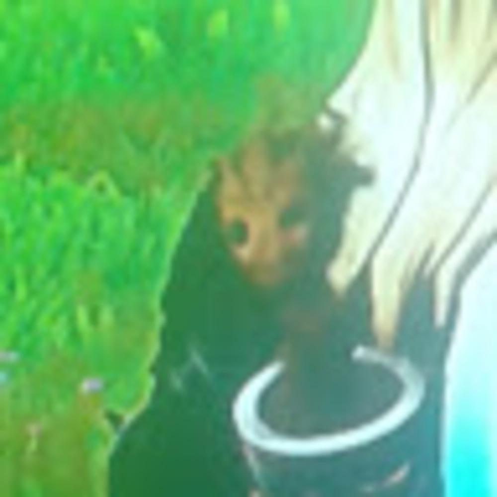 Meet your Posher, Nice